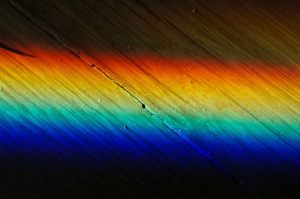 1069415_10151743209398249_672329623_n