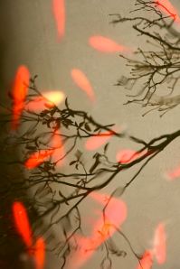 399px-Falling_leaves,_winter_(4150313498)