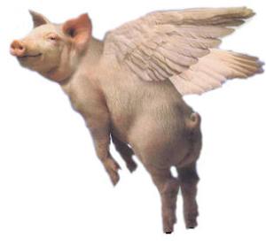 Flying_Pig