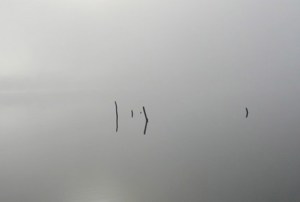 Heavy_mist_over_lake_Kaviskis_(Lithuania)