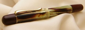 Pelikan.101N.Tortoise.01